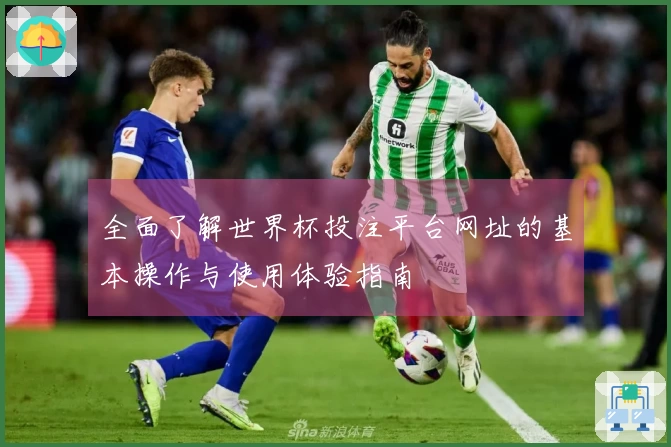 全面了解世界杯投注平台网址的基本操作与使用体验指南