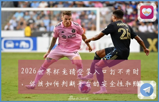 2026世界杯竞猜登录入口打不开时，你该如何判断平台的安全性和赔率合理性？