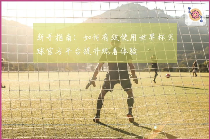 新手指南：如何有效使用世界杯买球官方平台提升观看体验