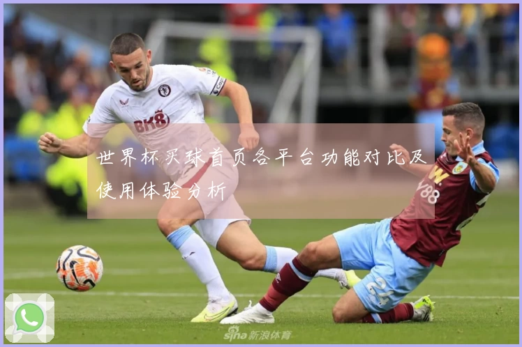世界杯买球首页各平台功能对比及使用体验分析