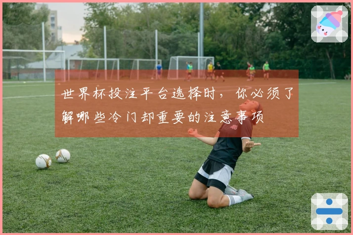 世界杯投注平台选择时，你必须了解哪些冷门却重要的注意事项