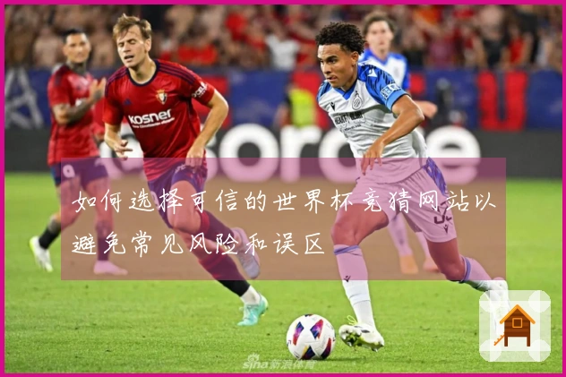 如何选择可信的世界杯竞猜网站以避免常见风险和误区