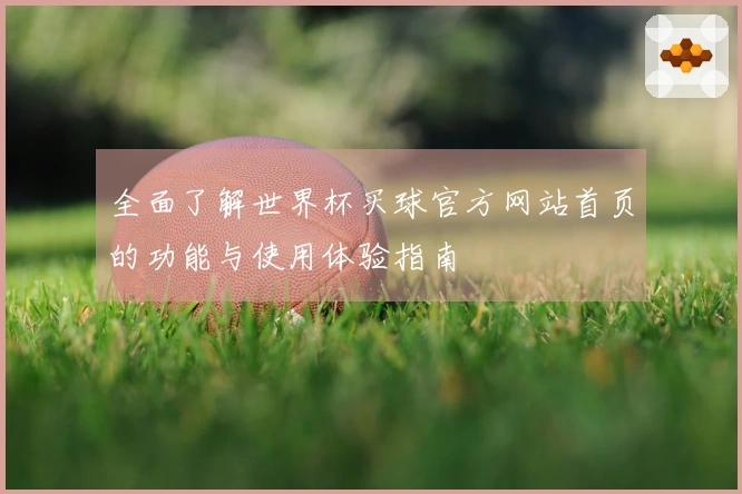 全面了解世界杯买球官方网站首页的功能与使用体验指南