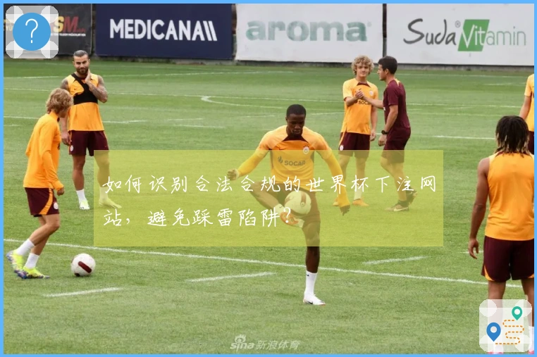 如何识别合法合规的世界杯下注网站，避免踩雷陷阱？