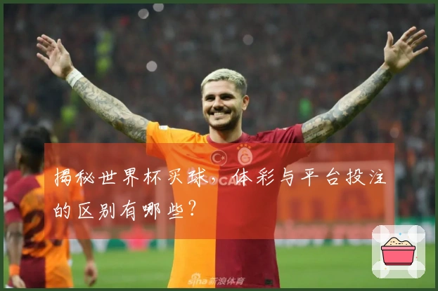 揭秘世界杯买球，体彩与平台投注的区别有哪些？