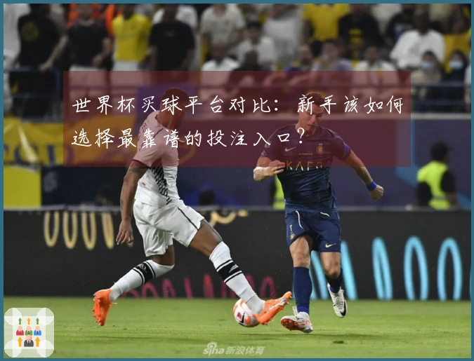 世界杯买球平台对比：新手该如何选择最靠谱的投注入口？