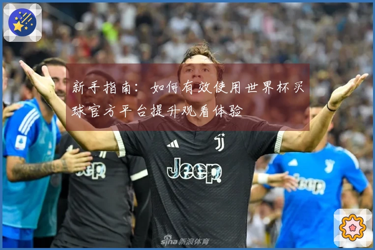 新手指南：如何有效使用世界杯买球官方平台提升观看体验