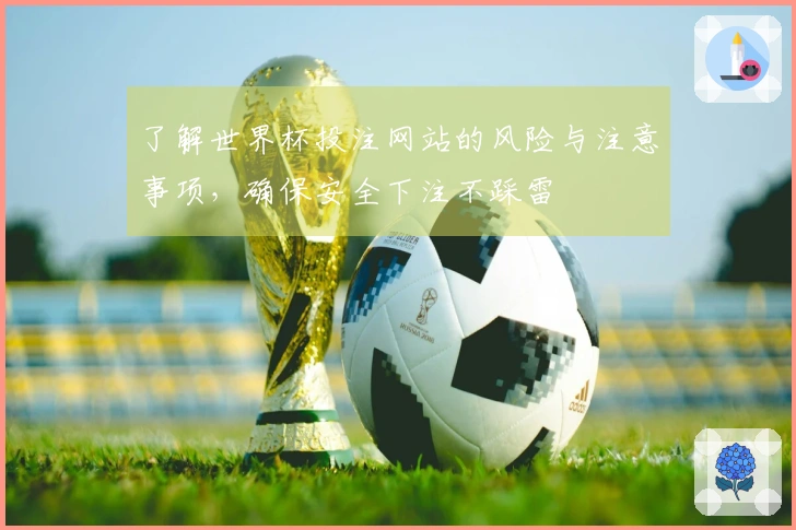 了解世界杯投注网站的风险与注意事项，确保安全下注不踩雷