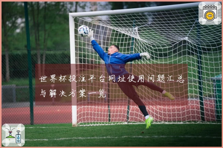 世界杯投注平台网址使用问题汇总与解决方案一览