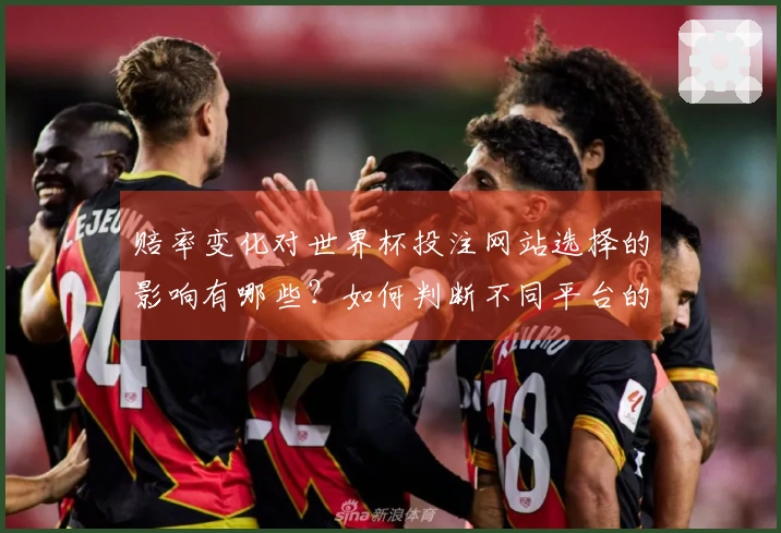 赔率变化对世界杯投注网站选择的影响有哪些？如何判断不同平台的可信度？