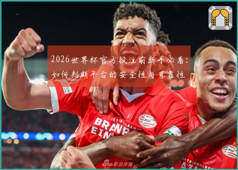 2026世界杯官方投注前新手必看：如何判断平台的安全性与可靠性