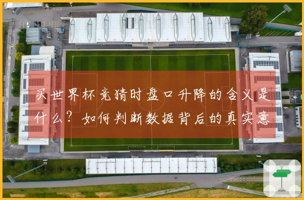买世界杯竞猜时盘口升降的含义是什么？如何判断数据背后的真实意图