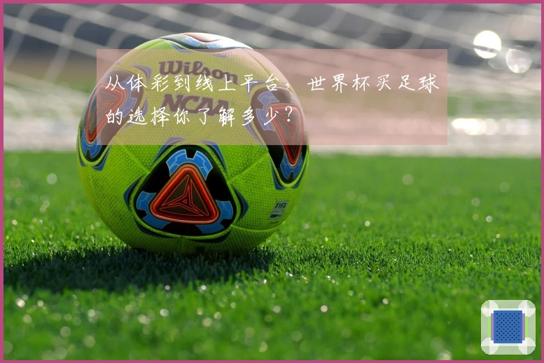 从体彩到线上平台，世界杯买足球的选择你了解多少？