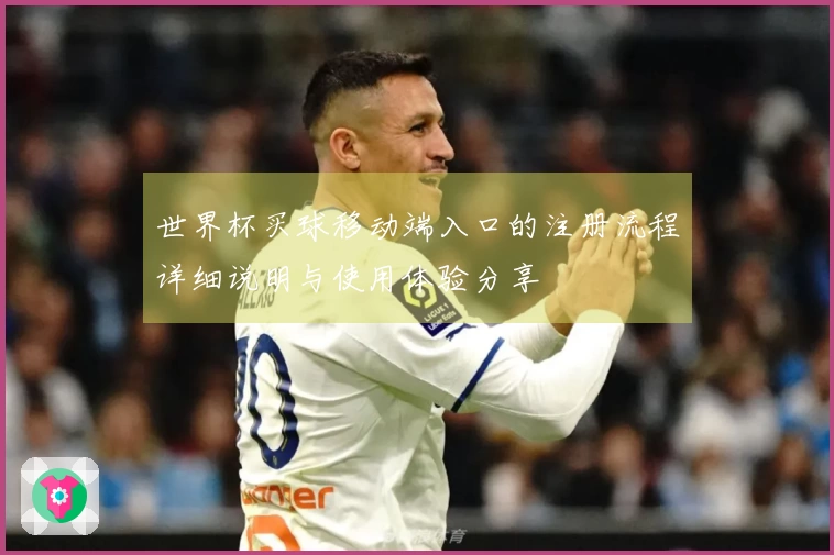 世界杯买球移动端入口的注册流程详细说明与使用体验分享