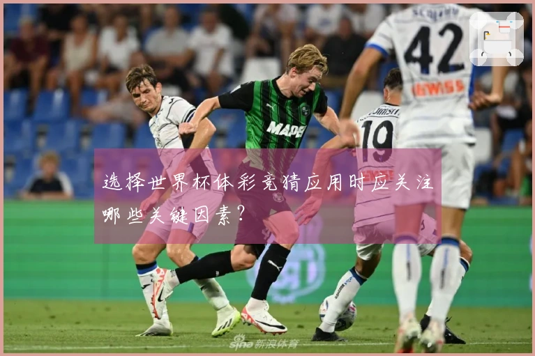 选择世界杯体彩竞猜应用时应关注哪些关键因素？