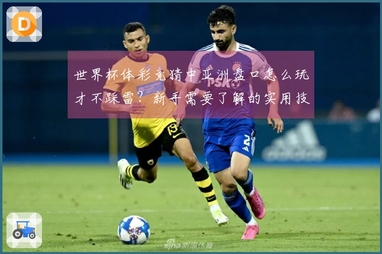 世界杯体彩竞猜中亚洲盘口怎么玩才不踩雷？新手需要了解的实用技巧剖析