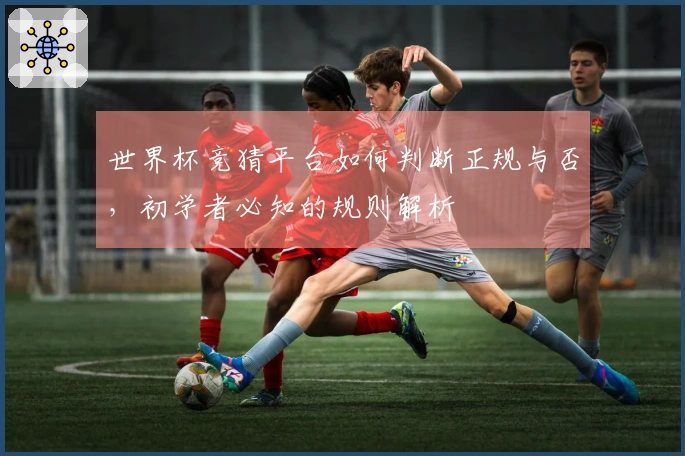 世界杯竞猜平台如何判断正规与否，初学者必知的规则解析