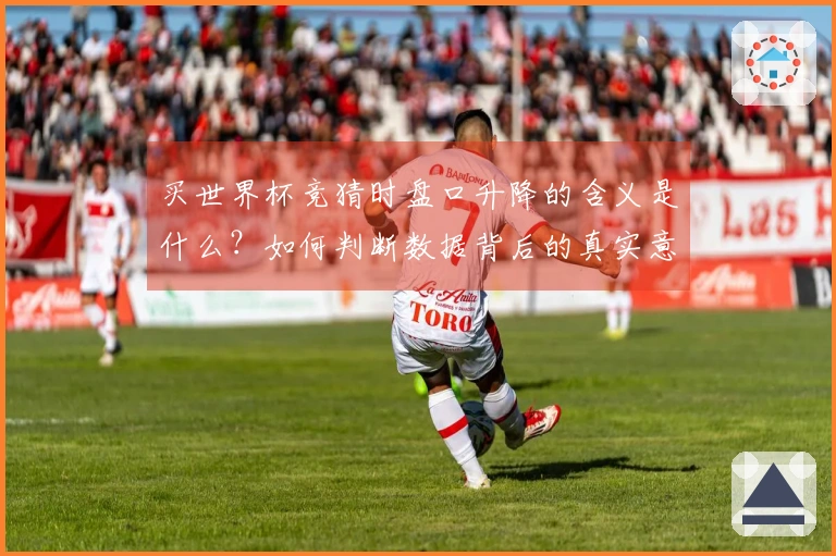 买世界杯竞猜时盘口升降的含义是什么？如何判断数据背后的真实意图