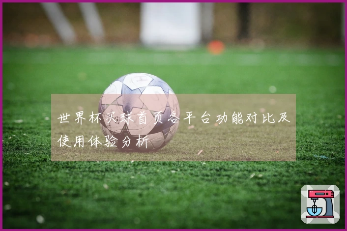 世界杯买球首页各平台功能对比及使用体验分析