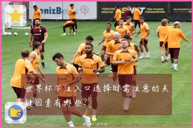 世界杯下注入口选择时需注意的关键因素有哪些？